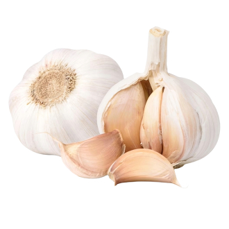 Garlic White China (Pack)